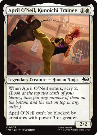 April O'Neil, Kunoichi Trainee  [Teenage Mutant Ninja Turtles]