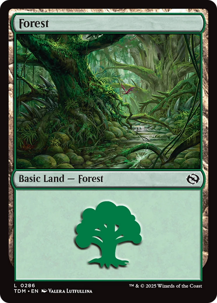 Forest (0286) [Tarkir: Dragonstorm] Foil
