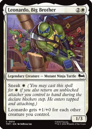 Leonardo, Big Brother  [Teenage Mutant Ninja Turtles]