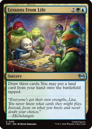 Lessons from Life  [Teenage Mutant Ninja Turtles]