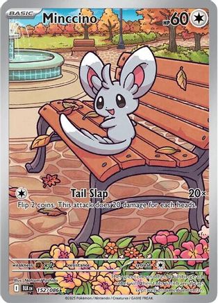 Minccino 157/086  - Holofoil SV Black Bolt - Illustration Rare