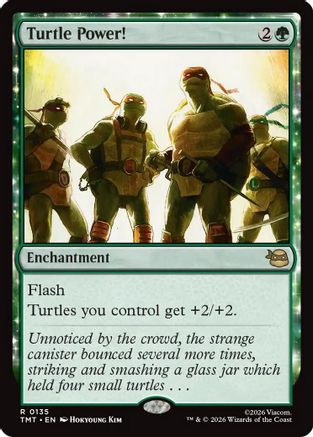 Turtle Power!  [Teenage Mutant Ninja Turtles]